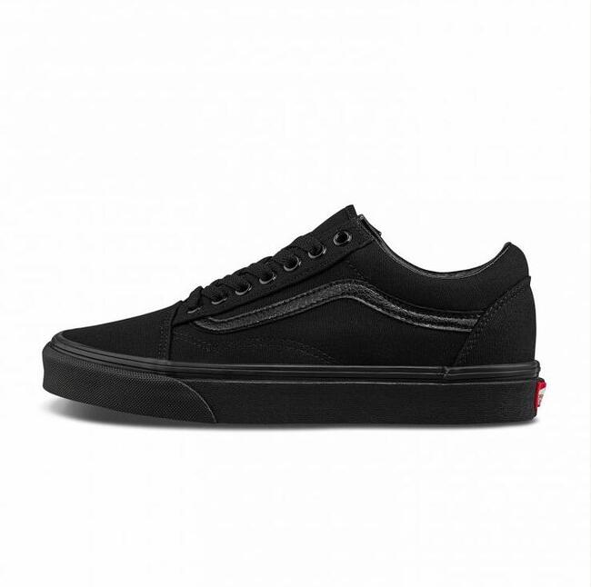 canvas classic skate shoes-free shipping